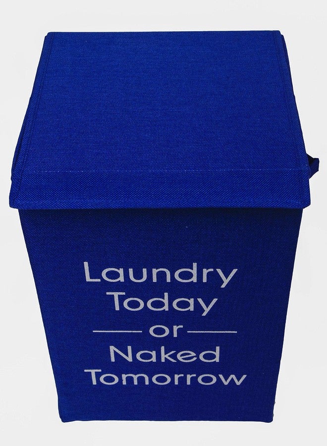 VRT Foldable European Pattern Rectangle Shape Laundry Box, Basket for Dirty Clothes, Laundry Hamper with Lid and Closure (Blue) - Image 5